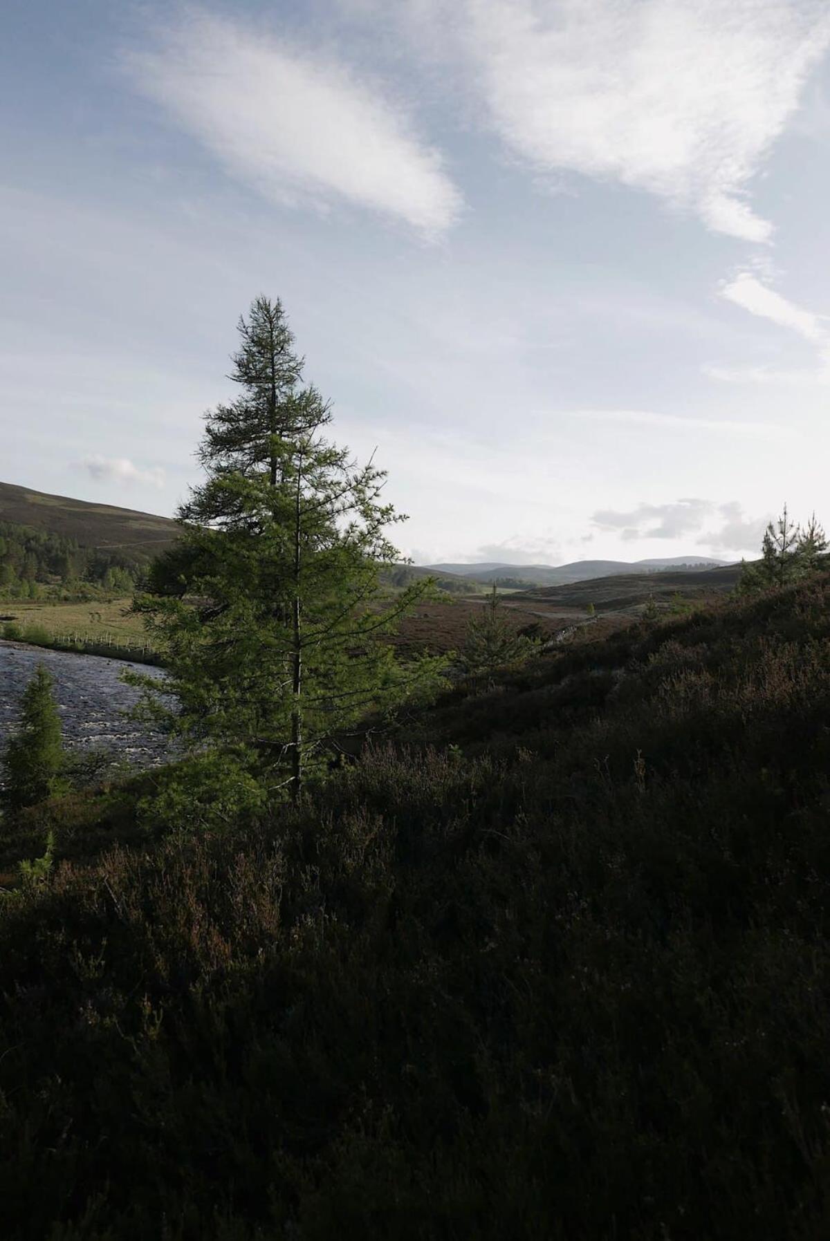Huswell - Gairnshiel Lodge - Unique & Exclusive Lodge Next To The Castle Ballater Exterior foto